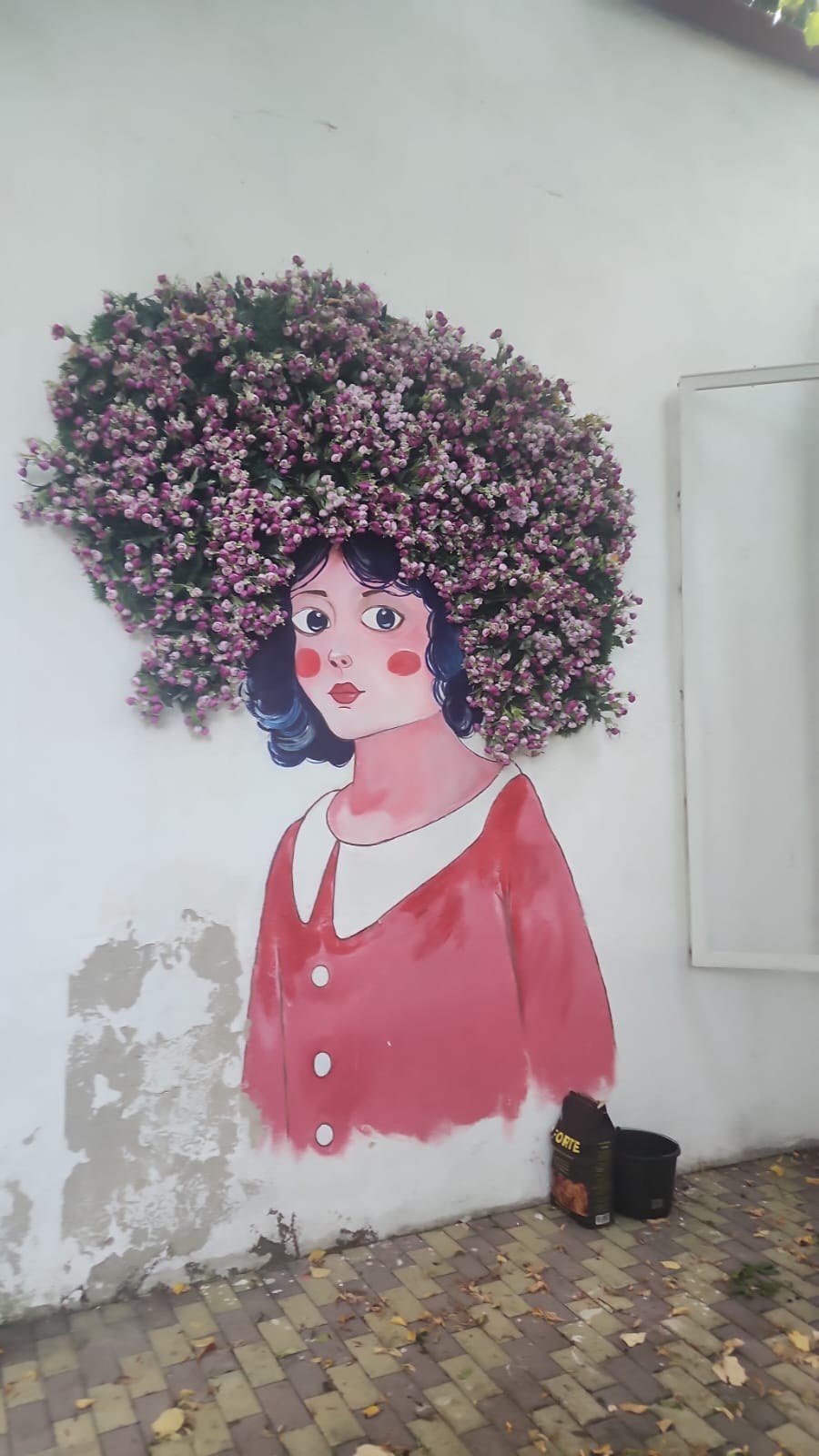 Foto dayanacağı